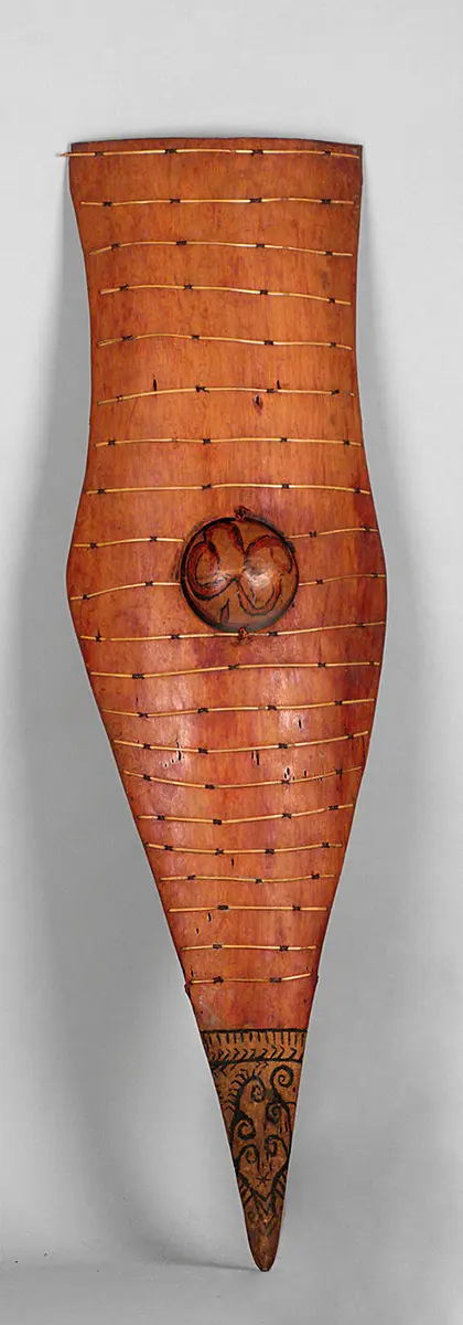 Shield