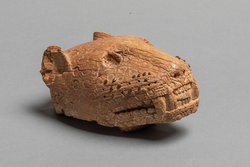 Leopard Head