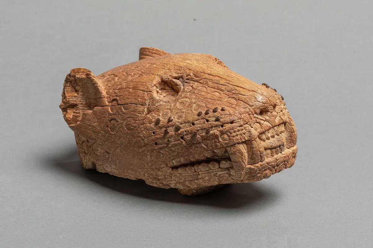 Leopard Head