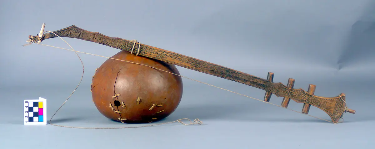 Stringed Instrument