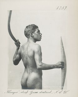 "Warryne", chief Yass district, N.S.W.