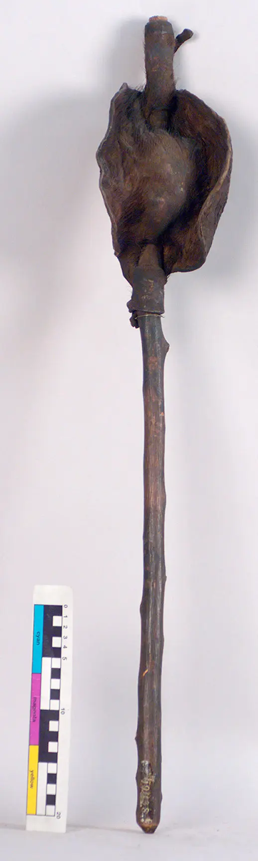 Stockschild