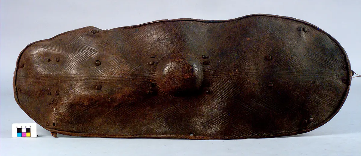 Shield
