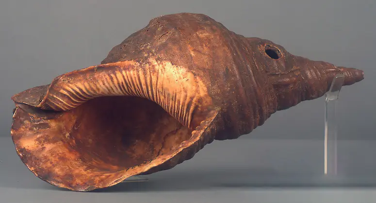 Schneckentrompete