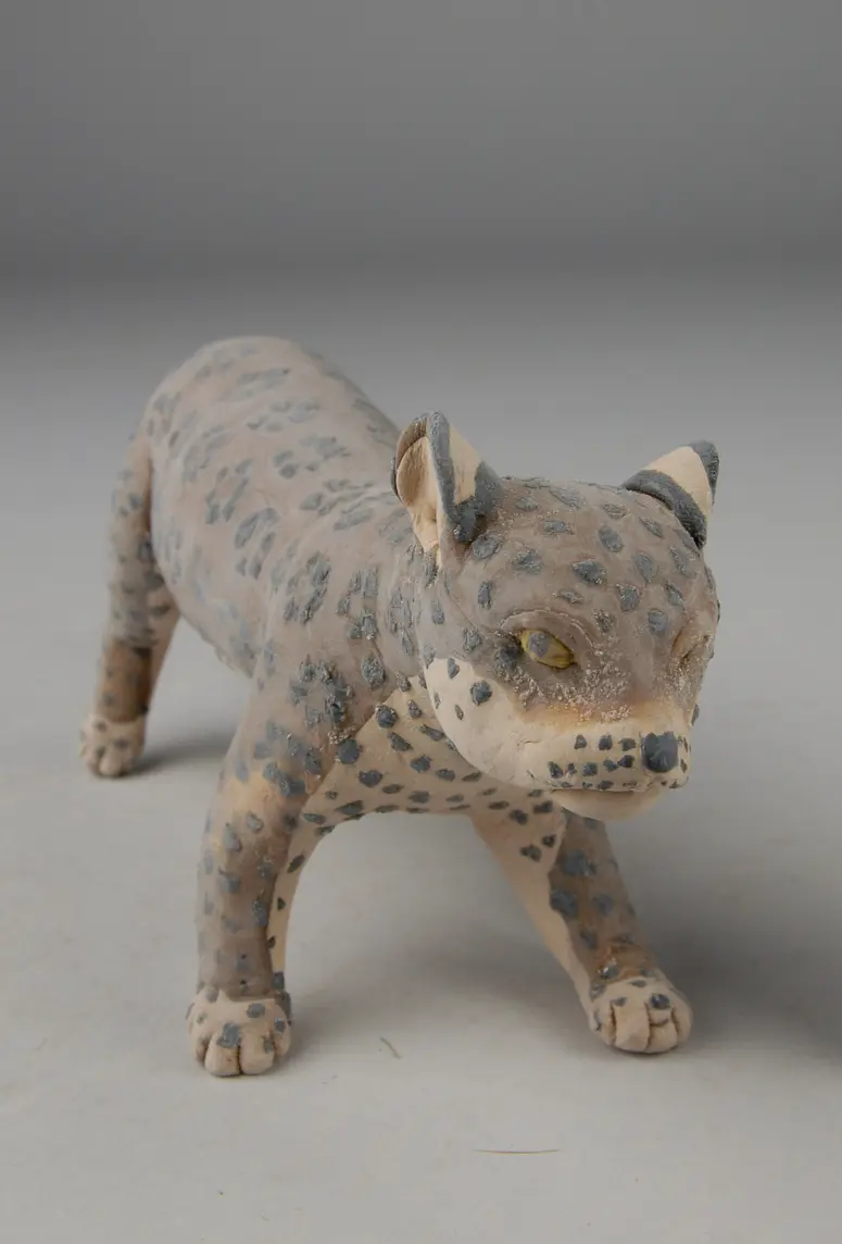 Jaguar, Figur