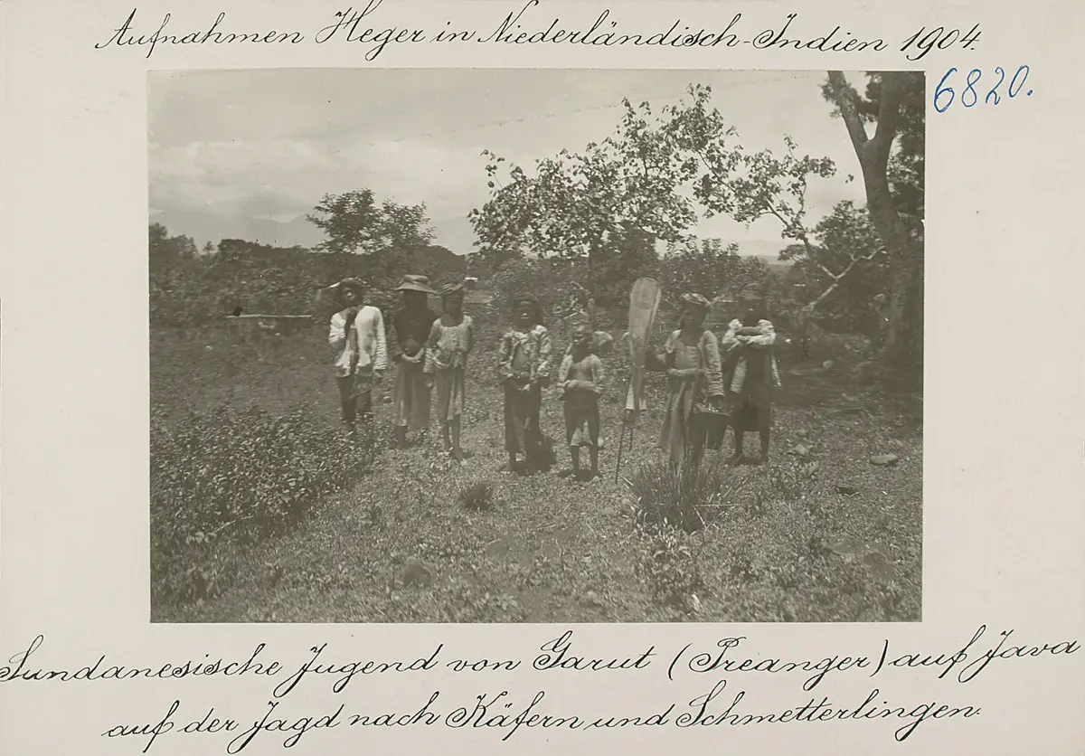 Sundanesische Jugend von Garut (Preanger) auf Java auf der Jagd nach Käfern und Schmetterlingen