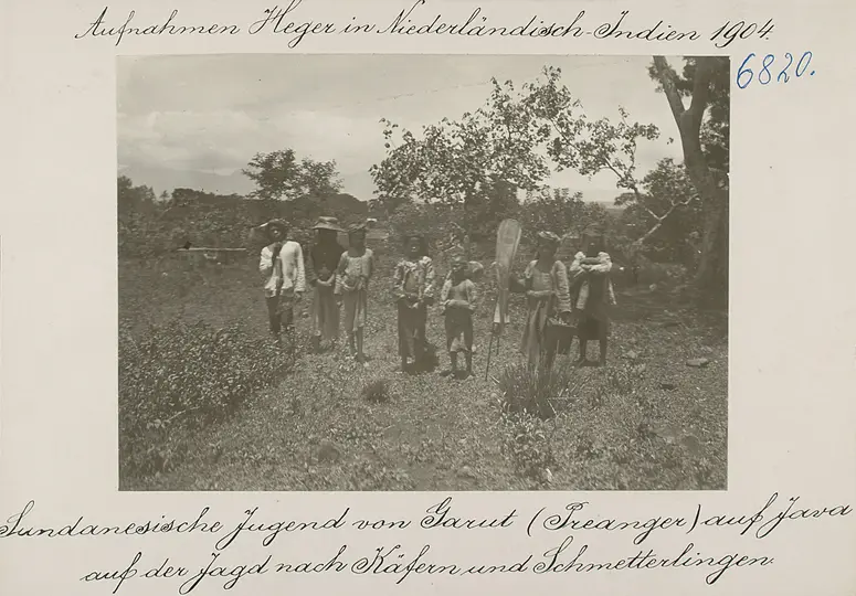 Sundanesische Jugend von Garut (Preanger) auf Java auf der Jagd nach Käfern und Schmetterlingen