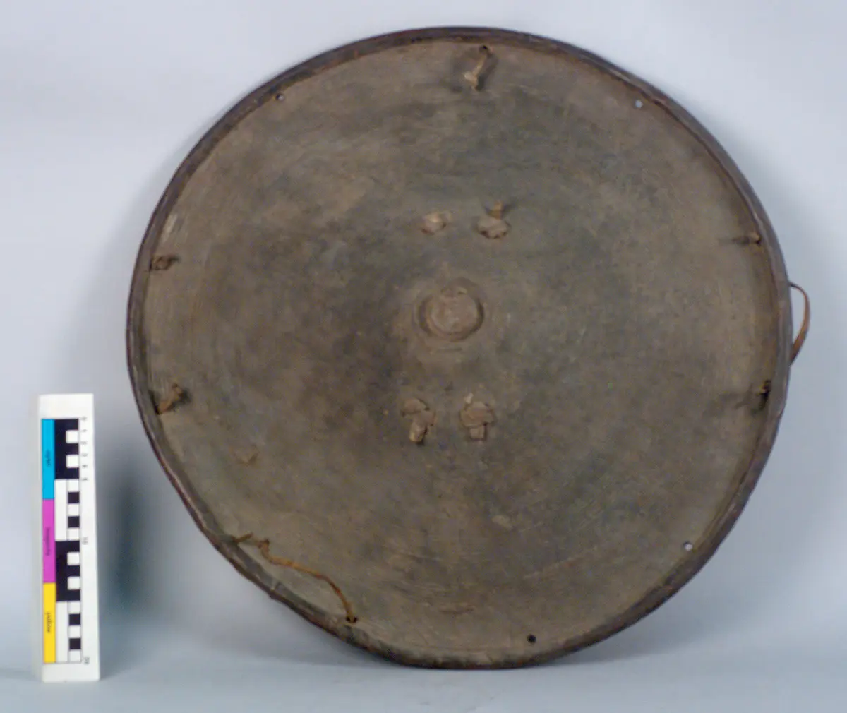 Shield
