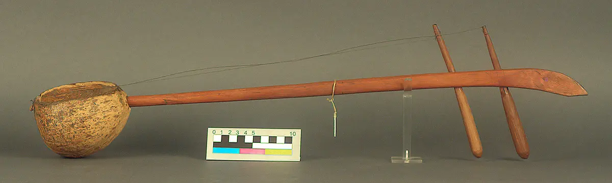 Saiteninstrument