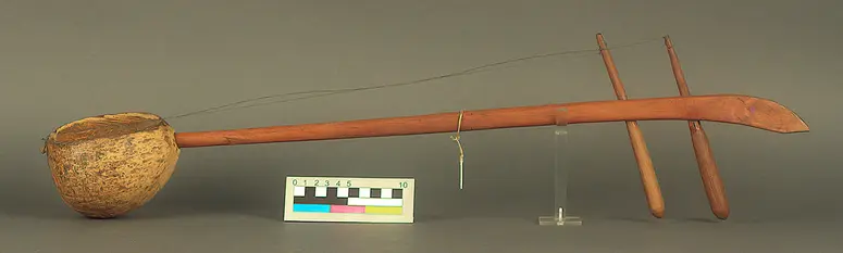 Saiteninstrument