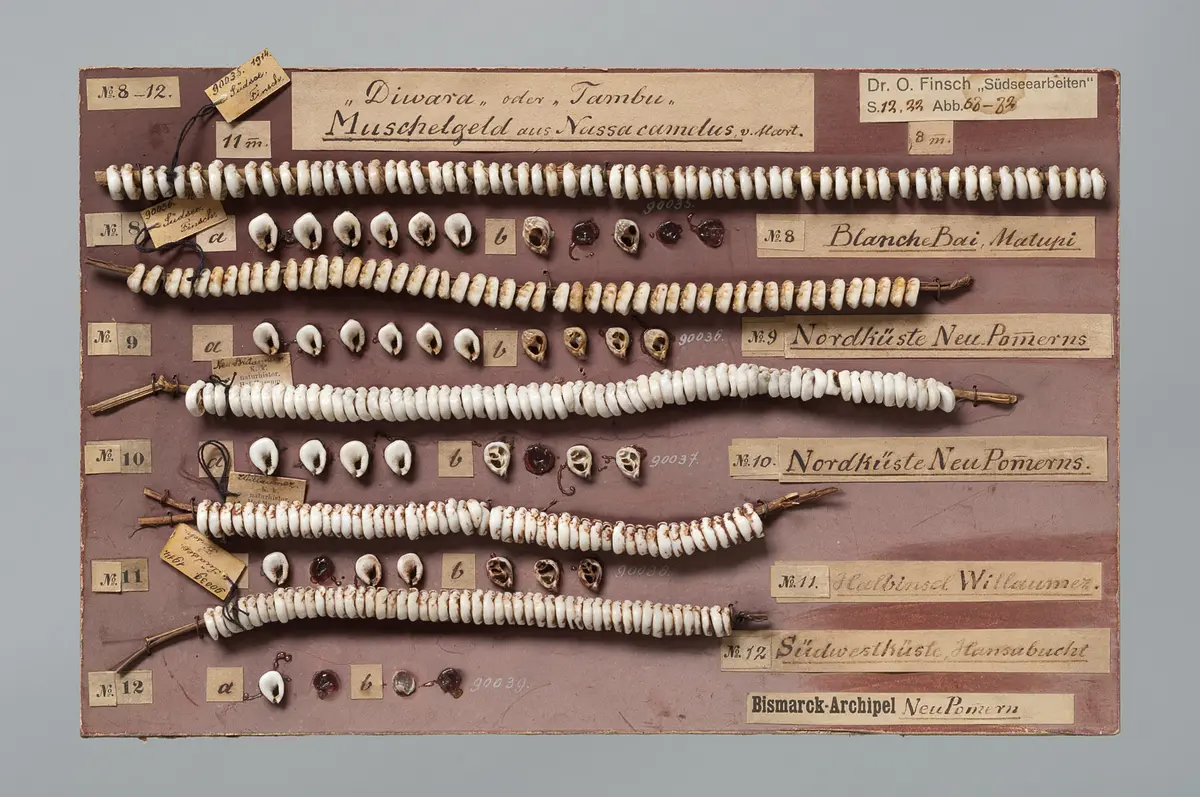 Muschel- und Schneckengeld auf Karton