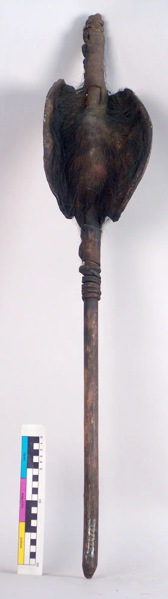 Stockschild