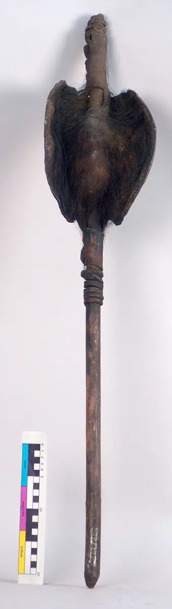 Stockschild
