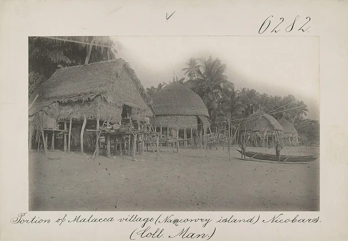 Portion of Malacca village (Nancowry island) Nicobars