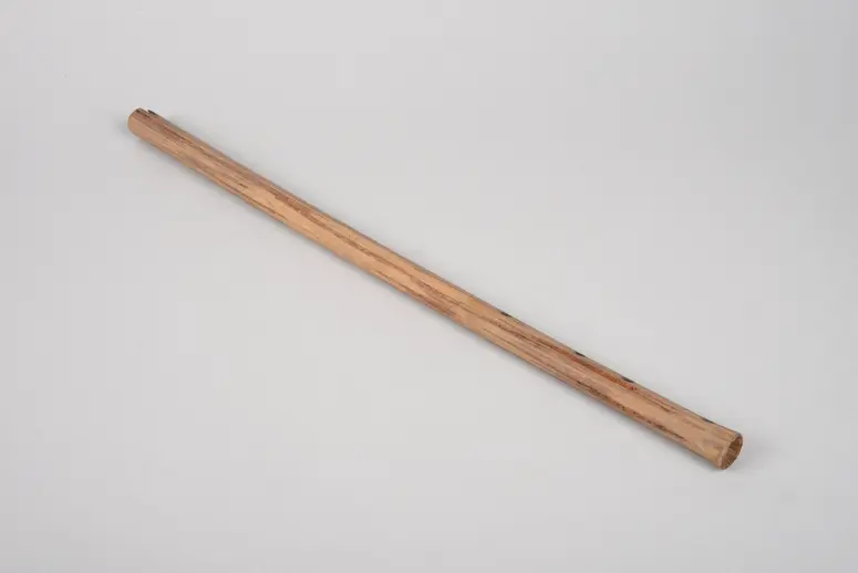 Instrument: Flute