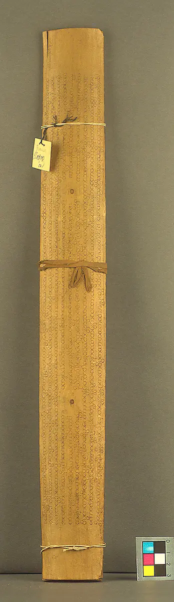 Text