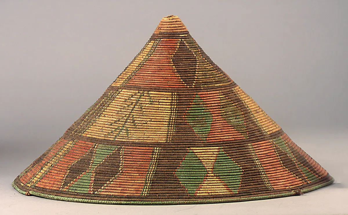 Dish Cover