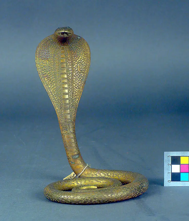 Naga-Schlange