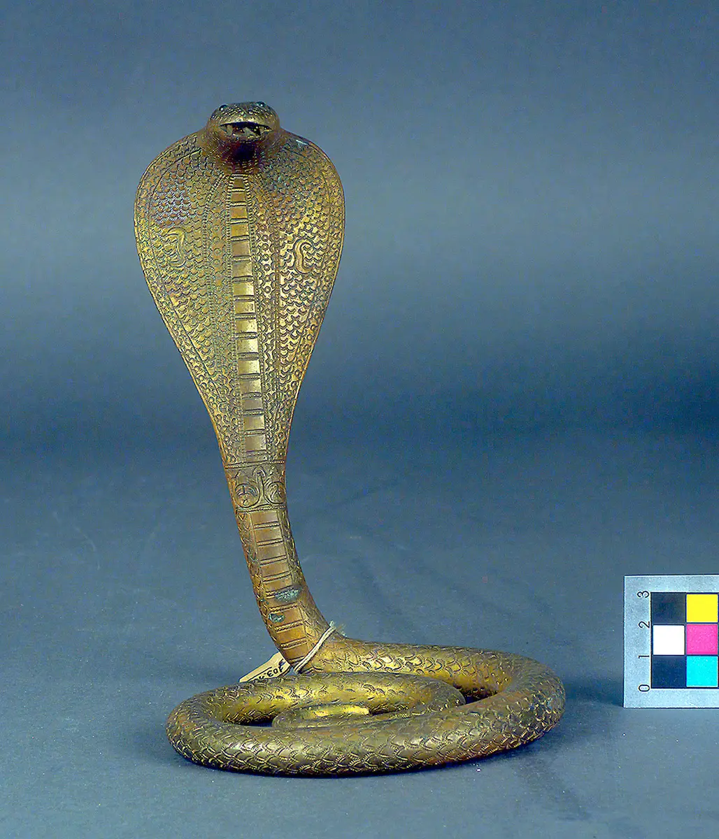 Naga-Schlange