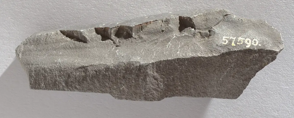 Felsgravierung: Fragment