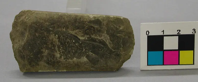 Steinbeil