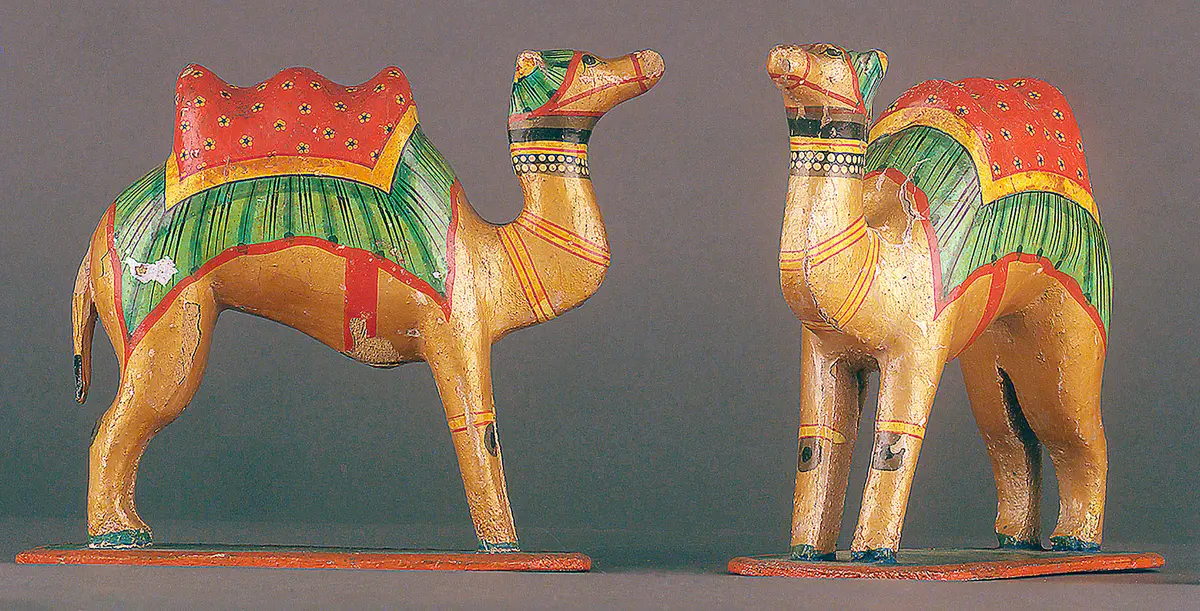 Camels