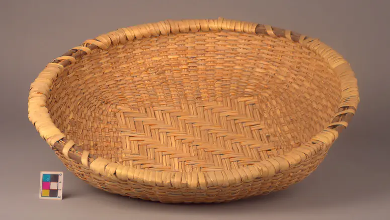 basket