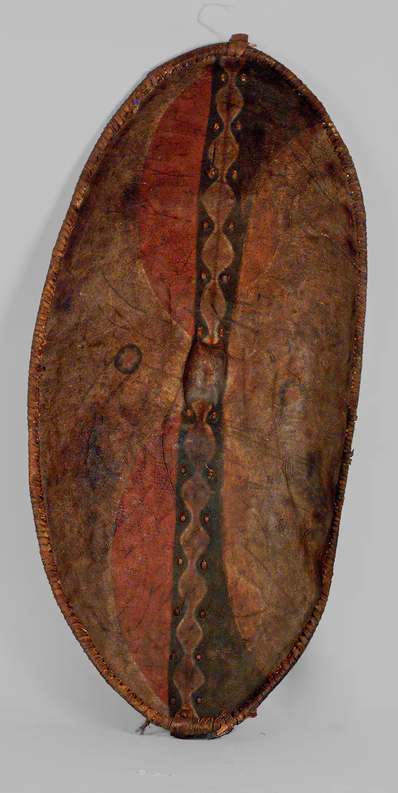 Shield