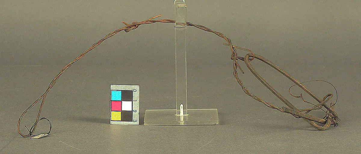 Vogelschlinge