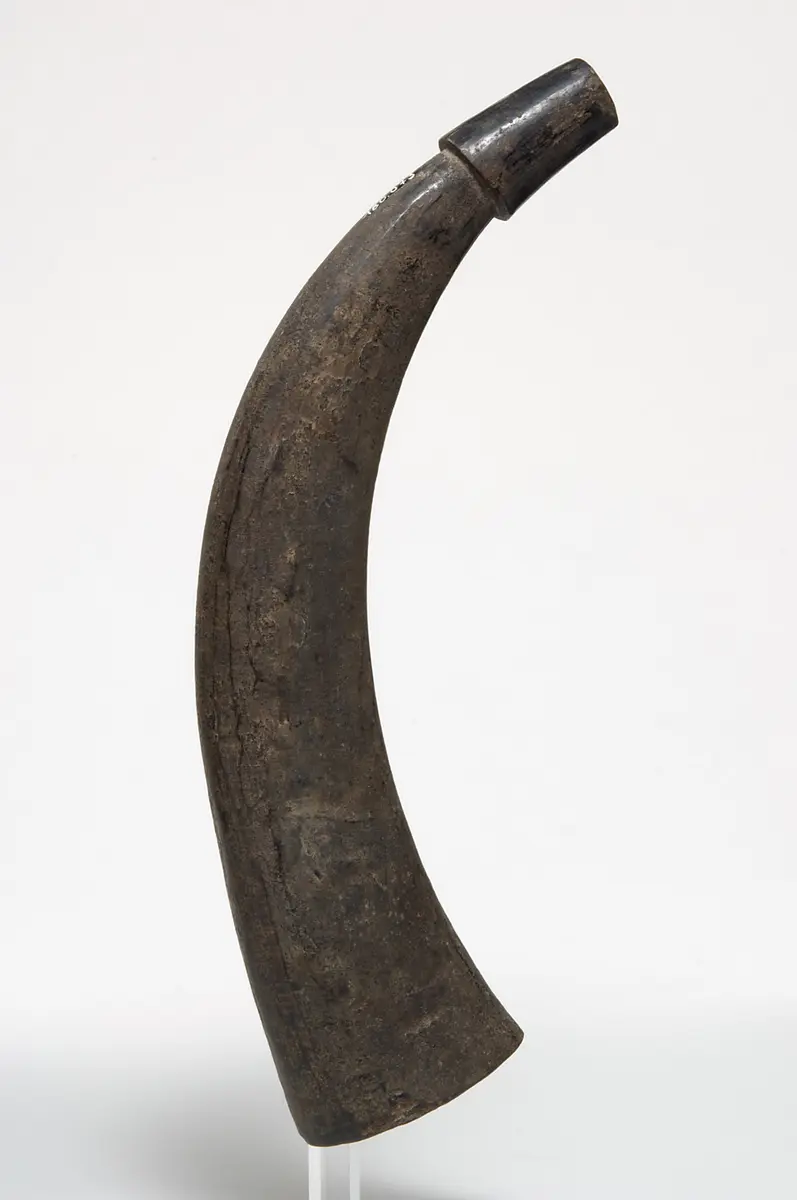 Ritualhorn