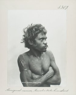 Aboriginal warrior, Miccoolin tribe, Queensland