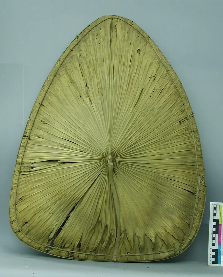 Regenschild