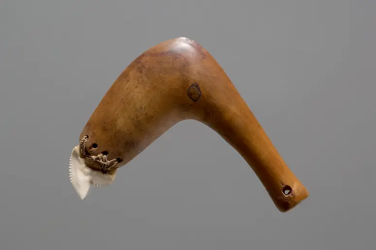 Implement with shark tooth