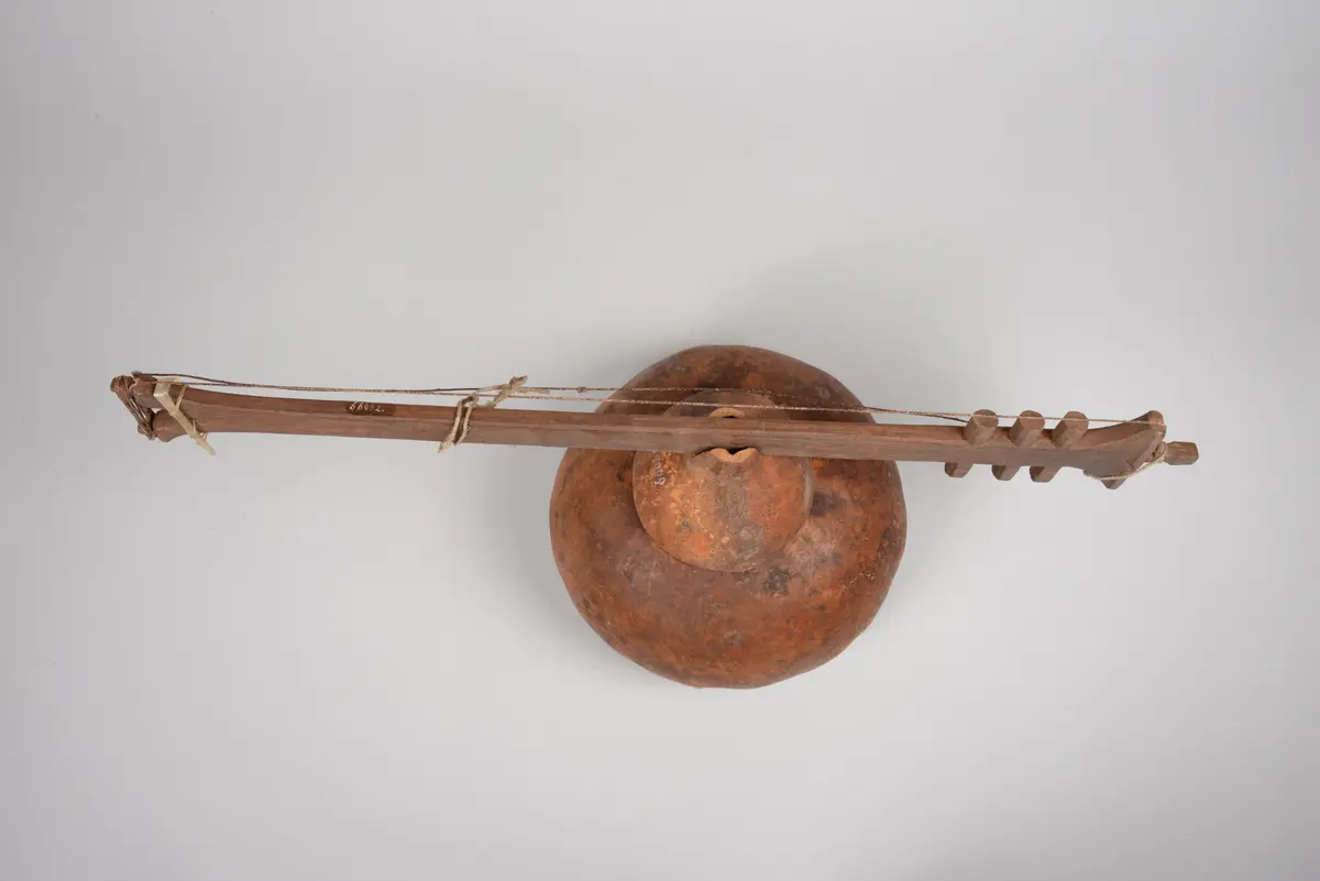Saiteninstrument
