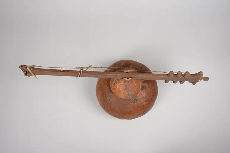 Saiteninstrument