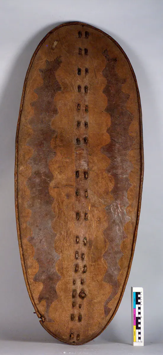 Shield
